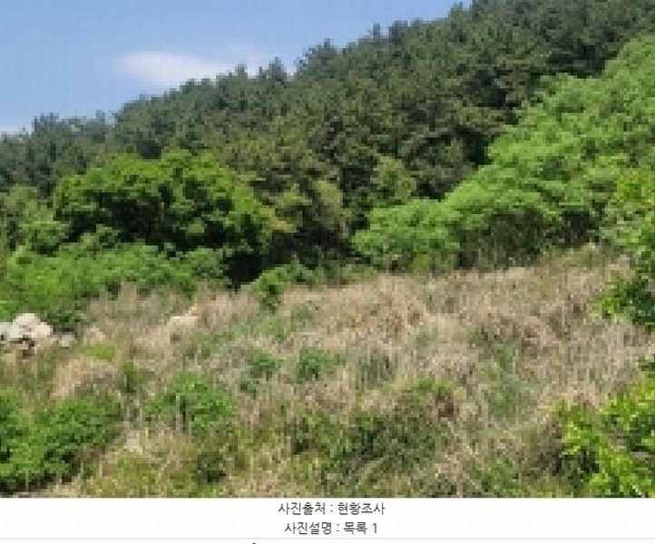 2025타경450 경상남도 거제시 사등면 창호리 1212-2 농지 경매 이미지