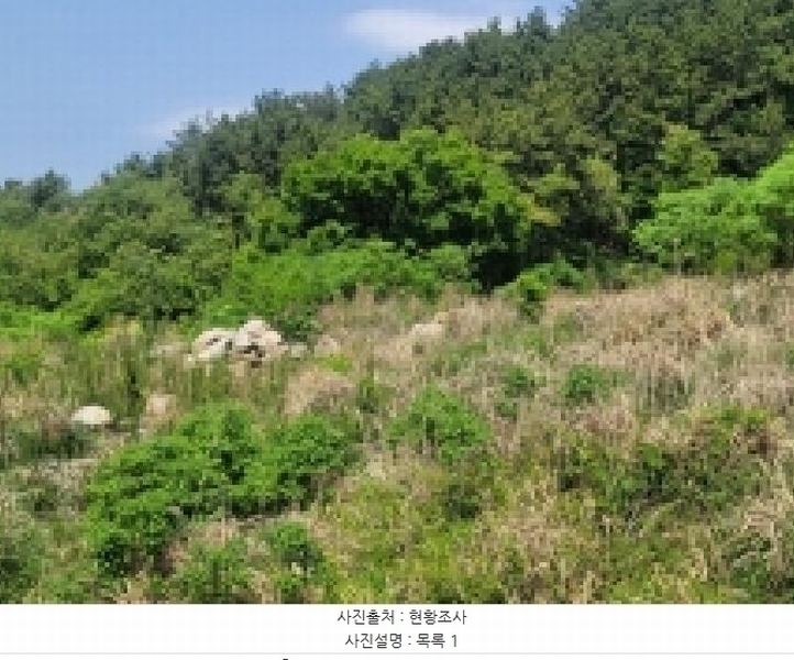 2025타경450 경상남도 거제시 사등면 창호리 1212-2 농지 경매 이미지