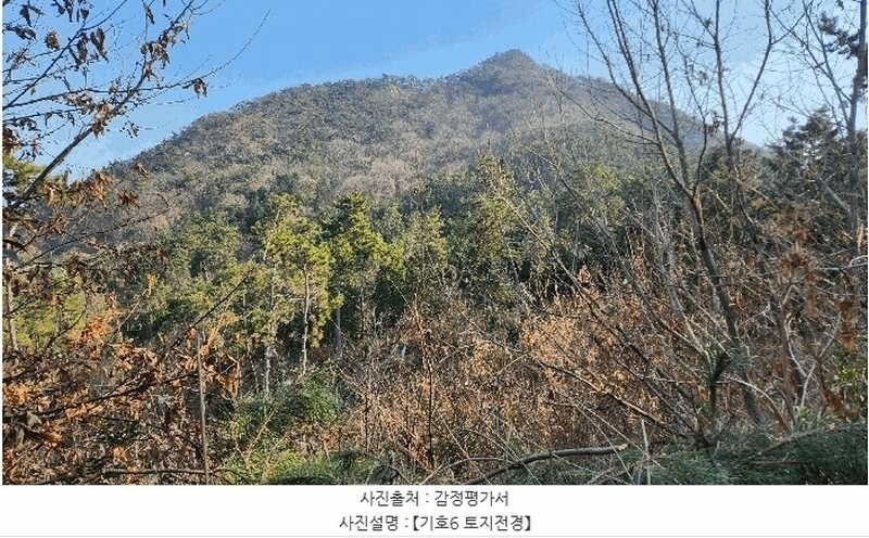 2025타경20156 경상남도 거제시 장목면 외포리 산34-5 임야 경매 이미지