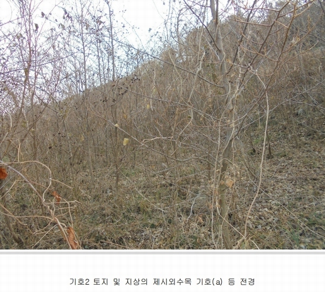 2025타경20316 경상남도 통영시 욕지면 동항리 840-30 농지 경매 이미지