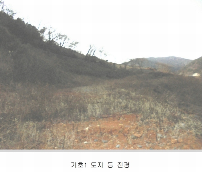2025타경20316 경상남도 통영시 욕지면 동항리 840-30 농지 경매 이미지