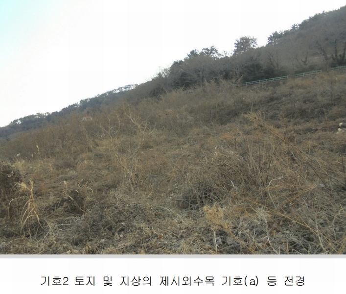 2025타경20316 경상남도 통영시 욕지면 동항리 840-30 농지 경매 이미지