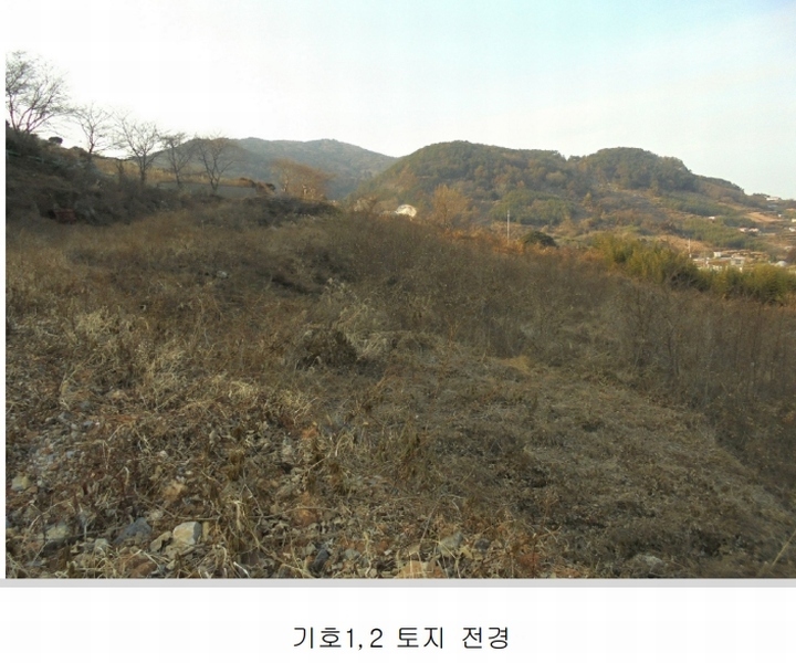 2025타경20316 경상남도 통영시 욕지면 동항리 840-30 농지 경매 이미지