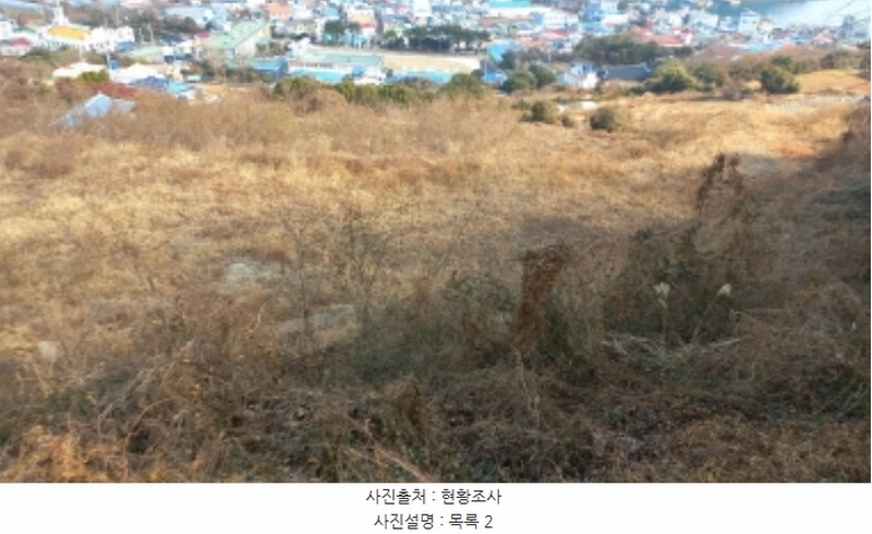2025타경20316 경상남도 통영시 욕지면 동항리 840-30 농지 경매 이미지