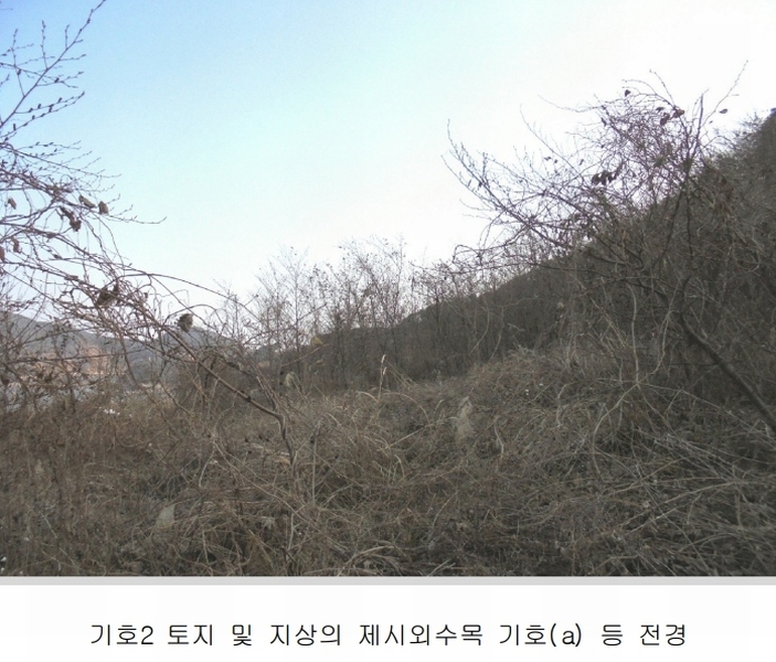 2025타경20316 경상남도 통영시 욕지면 동항리 840-30 농지 경매 이미지