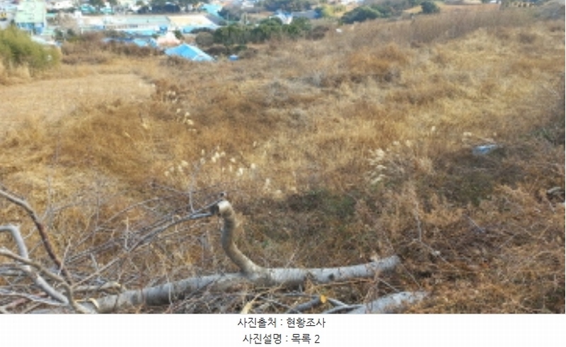 2025타경20316 경상남도 통영시 욕지면 동항리 840-30 농지 경매 이미지