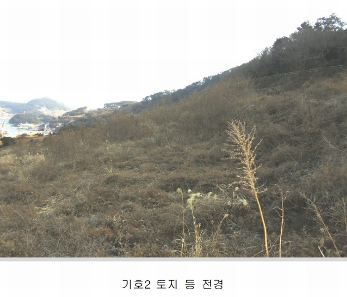 2025타경20316 경상남도 통영시 욕지면 동항리 840-30 농지 경매 이미지