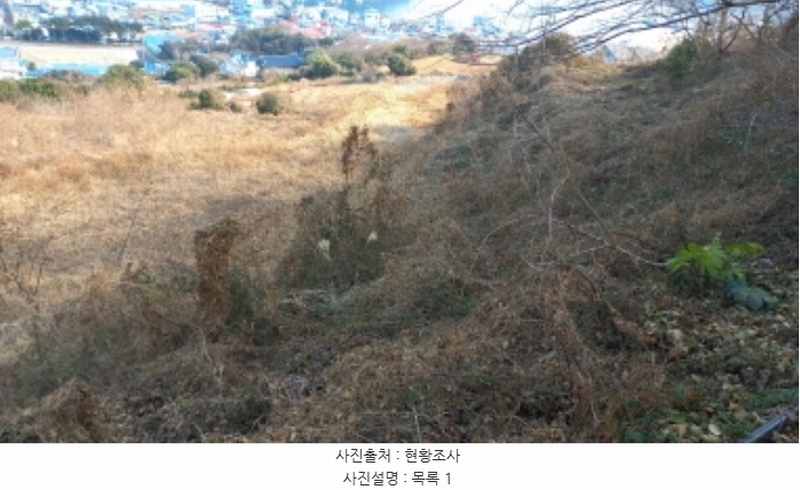 2025타경20316 경상남도 통영시 욕지면 동항리 840-30 농지 경매 이미지