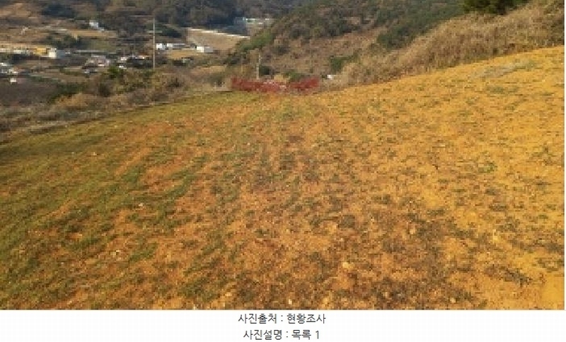 2025타경20995 경상남도 통영시 욕지면 동항리 699-2 농지 경매 이미지