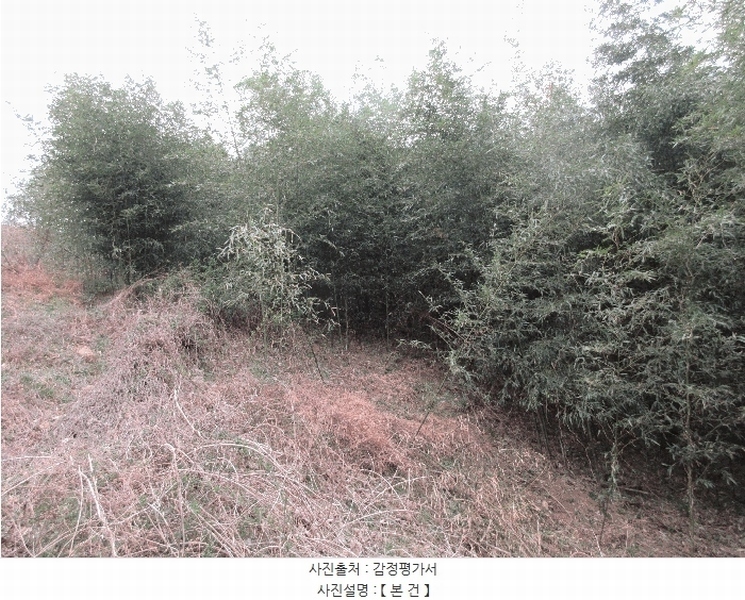 2025타경21012 경상남도 통영시 산양읍 삼덕리 277 농지 경매 이미지