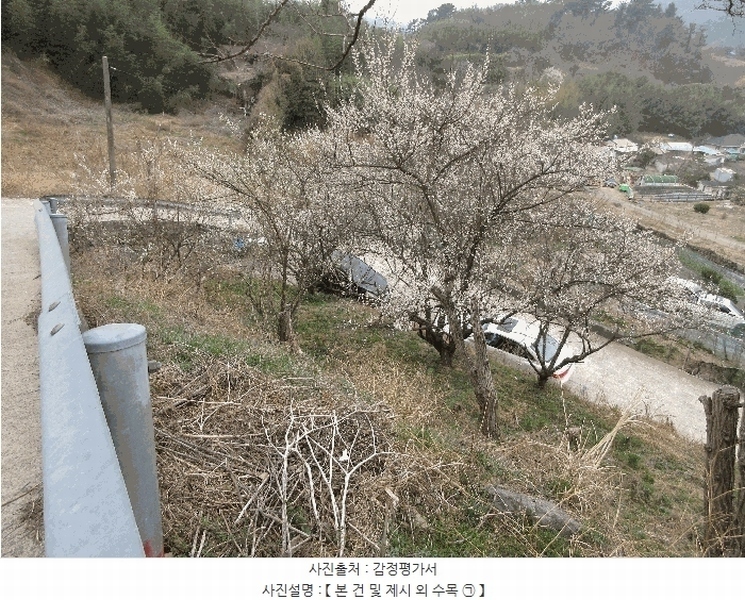 2025타경21012 경상남도 통영시 산양읍 삼덕리 277 농지 경매 이미지