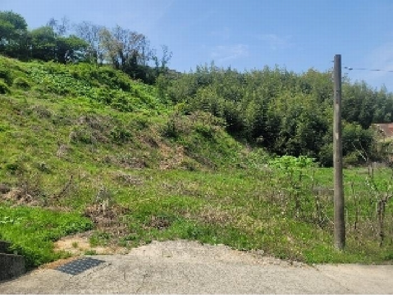2025타경21012 경상남도 통영시 산양읍 삼덕리 277 농지 경매 이미지