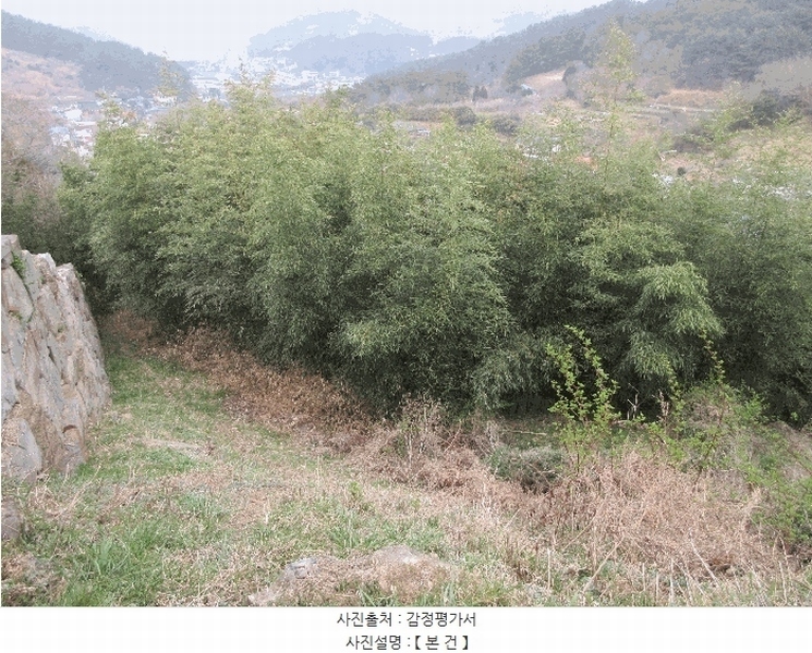 2025타경21012 경상남도 통영시 산양읍 삼덕리 277 농지 경매 이미지