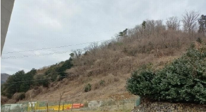 2025타경21060 경상남도 거제시 덕포동 산193 임야 경매 이미지