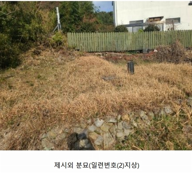 2025타경21067 경상남도 거제시 동부면 학동리 497 농지 경매 이미지