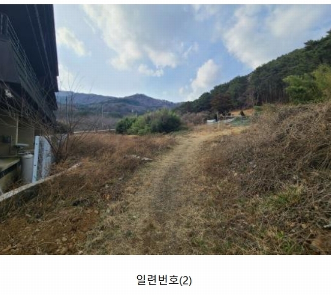 2025타경21067 경상남도 거제시 동부면 학동리 497 농지 경매 이미지