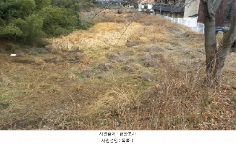 2025타경21067 경상남도 거제시 동부면 학동리 497 농지 경매 이미지