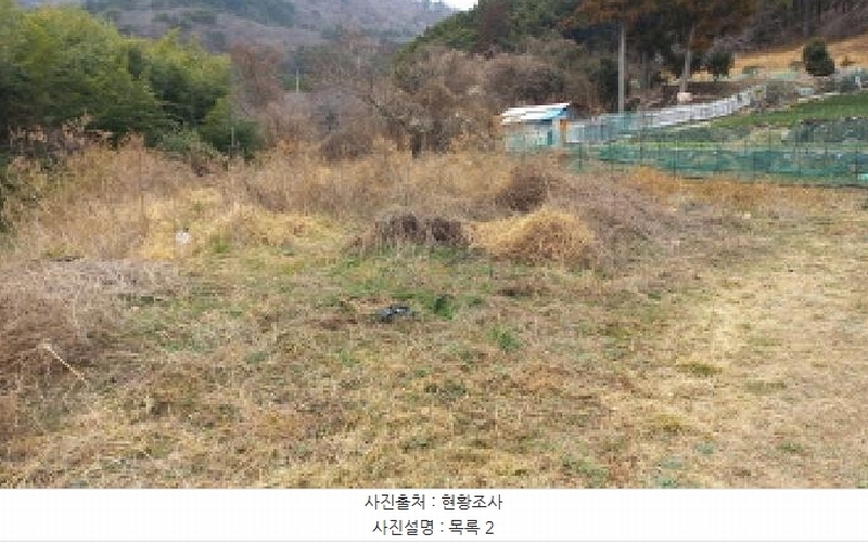 2025타경21067 경상남도 거제시 동부면 학동리 497 농지 경매 이미지