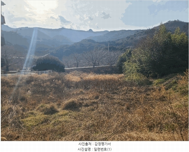 2025타경21067 경상남도 거제시 동부면 학동리 497 농지 경매 이미지