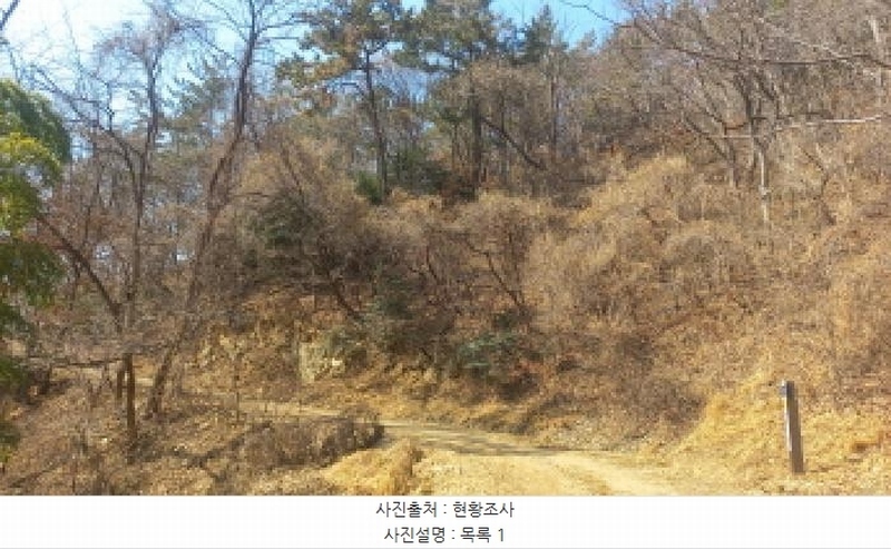 2025타경21068 경상남도 거제시 장목면 농소리 산50-3 임야 경매 이미지