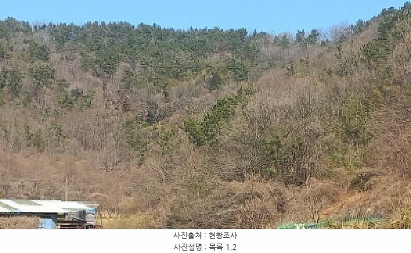 2025타경21068 경상남도 거제시 장목면 농소리 산50-3 임야 경매 이미지