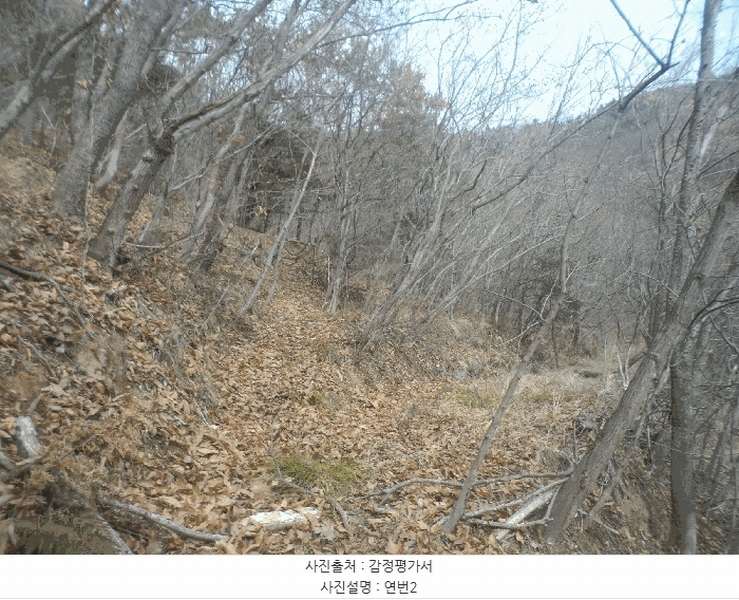 2025타경21068 경상남도 거제시 장목면 농소리 산50-3 임야 경매 이미지