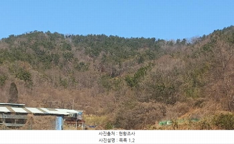 2025타경21068 경상남도 거제시 장목면 농소리 산50-3 임야 경매 이미지