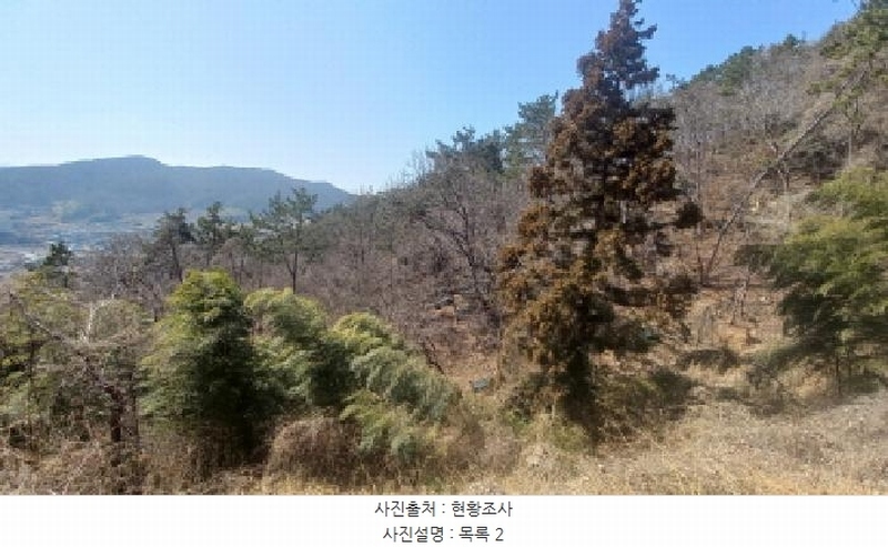 2025타경21068 경상남도 거제시 장목면 농소리 산50-3 임야 경매 이미지
