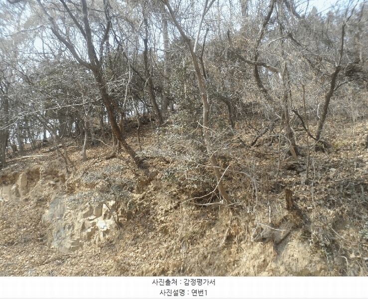 2025타경21068 경상남도 거제시 장목면 농소리 산50-3 임야 경매 이미지