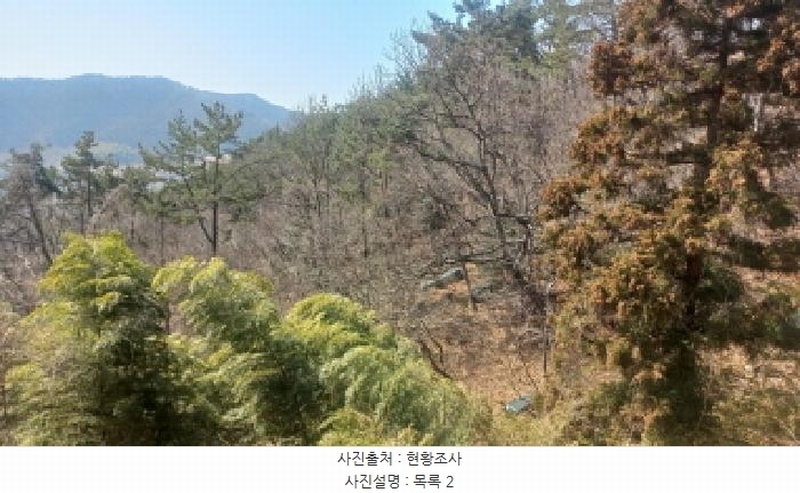 2025타경21068 경상남도 거제시 장목면 농소리 산50-3 임야 경매 이미지