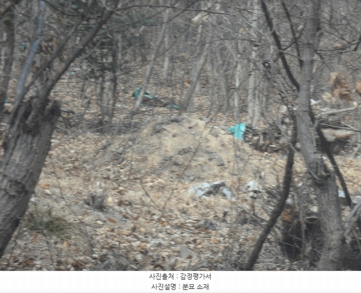 2025타경21068 경상남도 거제시 장목면 농소리 산50-3 임야 경매 이미지