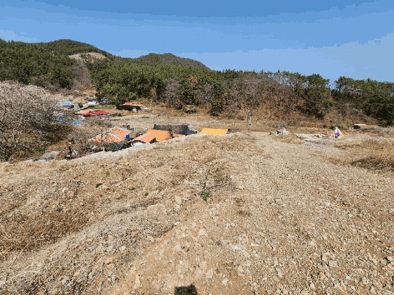 2025타경21147 경상남도 고성군 삼산면 두포리 312 농지 경매 이미지
