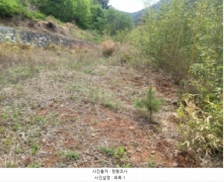 2025타경21164 경상남도 거제시 둔덕면 상둔리 214-1 임야 경매 이미지