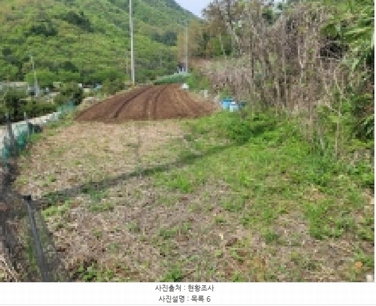 2025타경21164 경상남도 거제시 둔덕면 상둔리 214-1 임야 경매 이미지