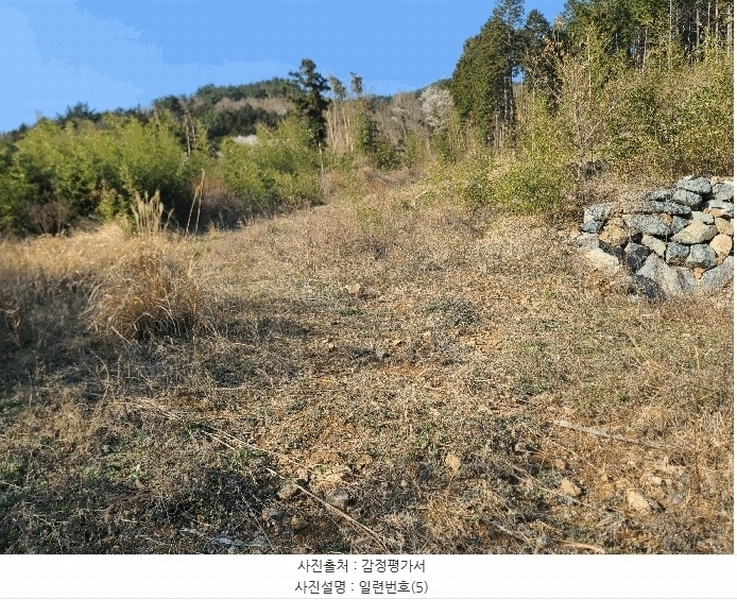 2025타경21164 경상남도 거제시 둔덕면 상둔리 214-1 임야 경매 이미지