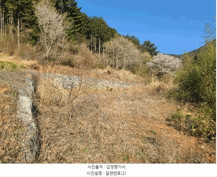 2025타경21164 경상남도 거제시 둔덕면 상둔리 214-1 임야 경매 이미지
