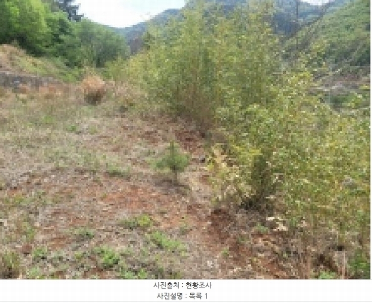 2025타경21164 경상남도 거제시 둔덕면 상둔리 214-1 임야 경매 이미지