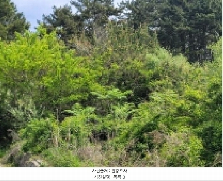 2025타경21287 경상남도 통영시 한산면 하소리 512-4 농지 경매 이미지