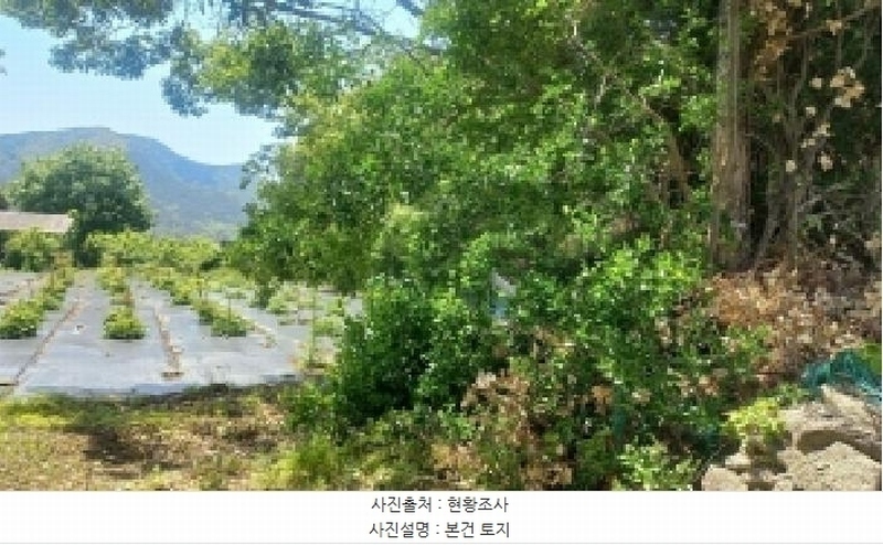 2025타경21319 경상남도 거제시 거제면 옥산리 538-3 농지 경매 이미지