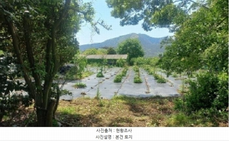 2025타경21319 경상남도 거제시 거제면 옥산리 538-3 농지 경매 이미지