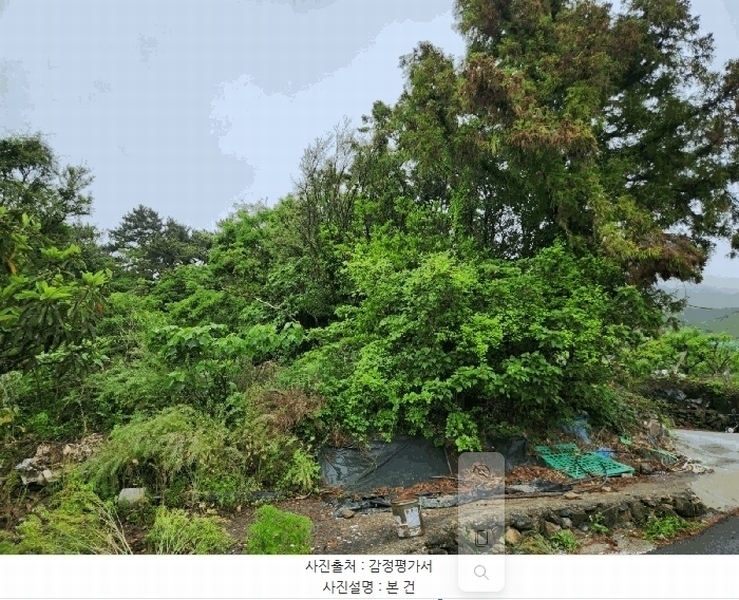 2025타경21319 경상남도 거제시 거제면 옥산리 538-3 농지 경매 이미지