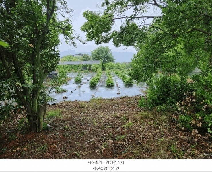 2025타경21319 경상남도 거제시 거제면 옥산리 538-3 농지 경매 이미지