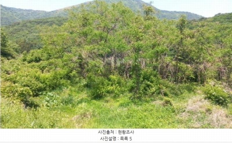 2025타경21335 경상남도 거제시 일운면 소동리 686-5 농지 경매 이미지