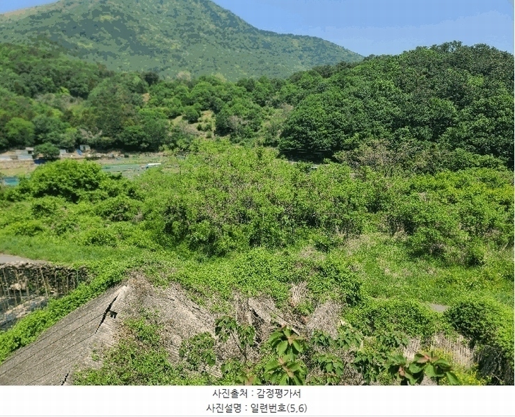 2025타경21335 경상남도 거제시 일운면 소동리 686-5 농지 경매 이미지