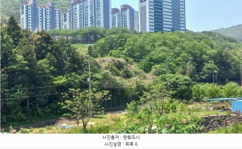 2025타경21335 경상남도 거제시 일운면 소동리 686-5 농지 경매 이미지