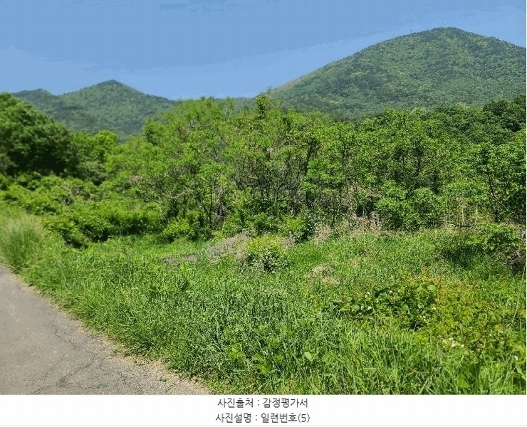 2025타경21335 경상남도 거제시 일운면 소동리 686-5 농지 경매 이미지