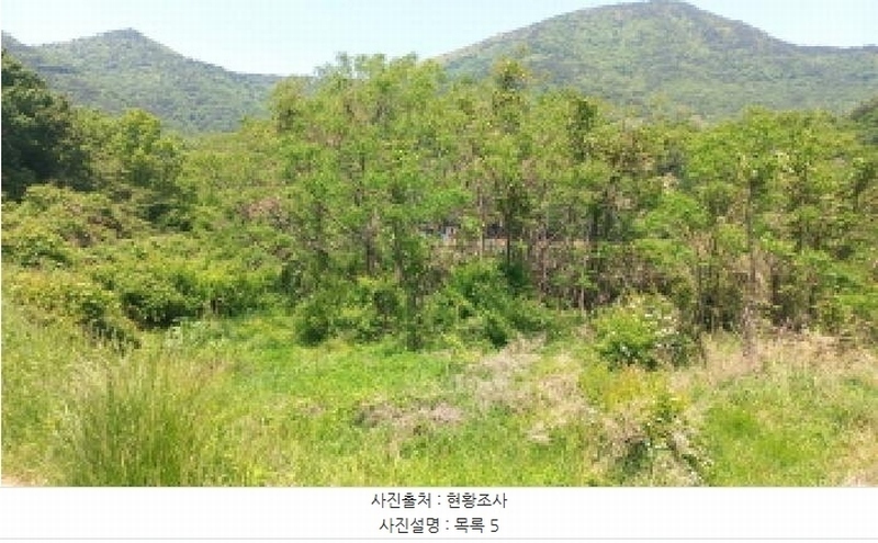 2025타경21335 경상남도 거제시 일운면 소동리 686-5 농지 경매 이미지
