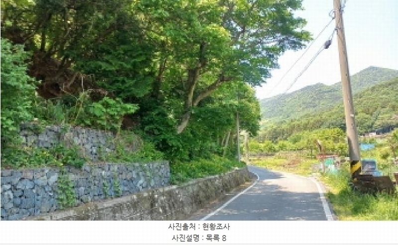 2025타경21335 경상남도 거제시 일운면 소동리 686-5 농지 경매 이미지
