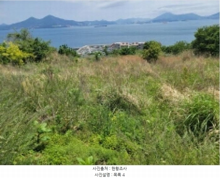 2025타경21354 경상남도 거제시 사등면 창호리 522 농지 경매 이미지