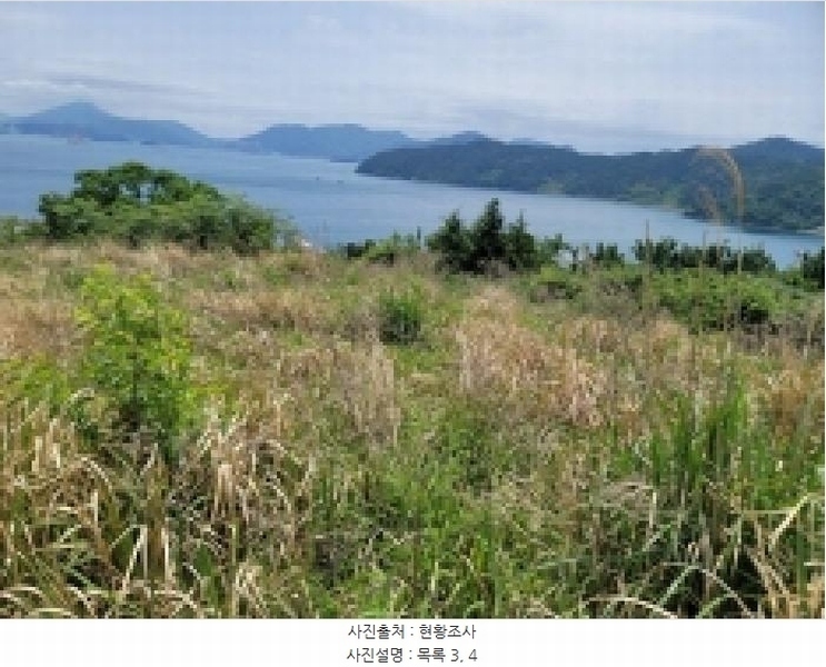 2025타경21354 경상남도 거제시 사등면 창호리 522 농지 경매 이미지